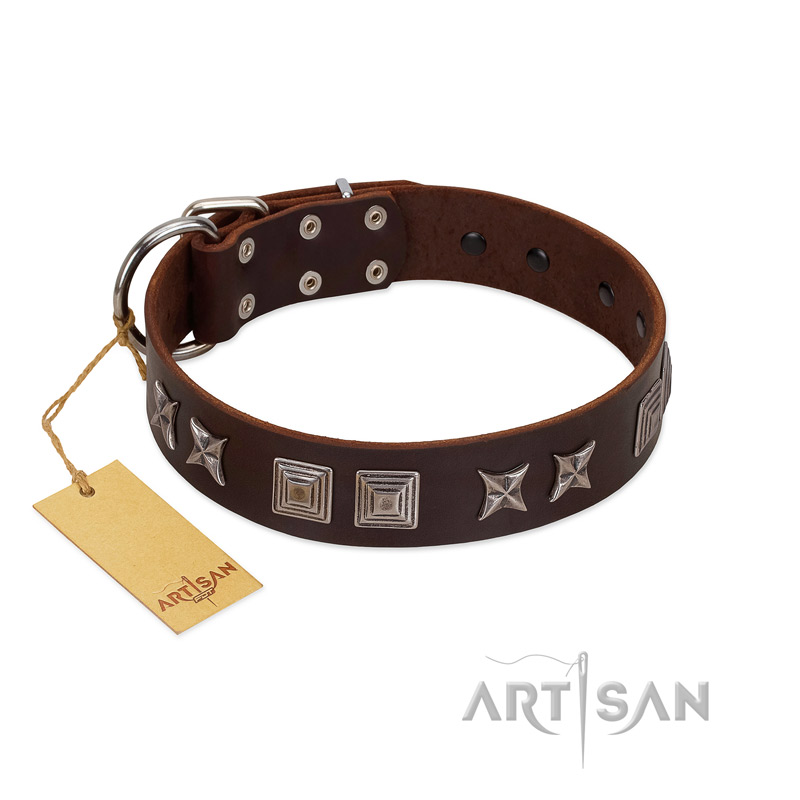 "Needle Stories" Modern FDT Artisan Brown Leather Newfoundland Collar with Square Engraved Plates and Four-Point Stars