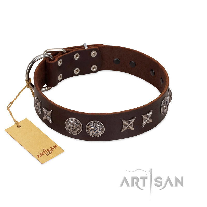 "Silver Sunset" Designer Handmade FDT Artisan Brown Leather Newfoundland Collar
