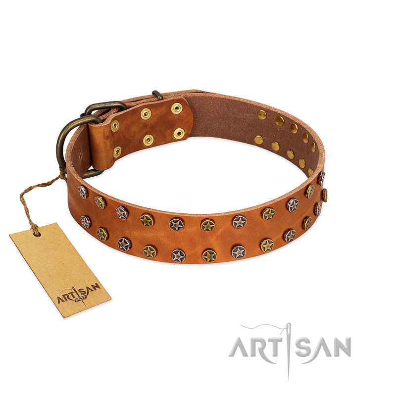"Walk and Shine" FDT Artisan Tan Leather Newfoundland Collar with Antiqued Studs