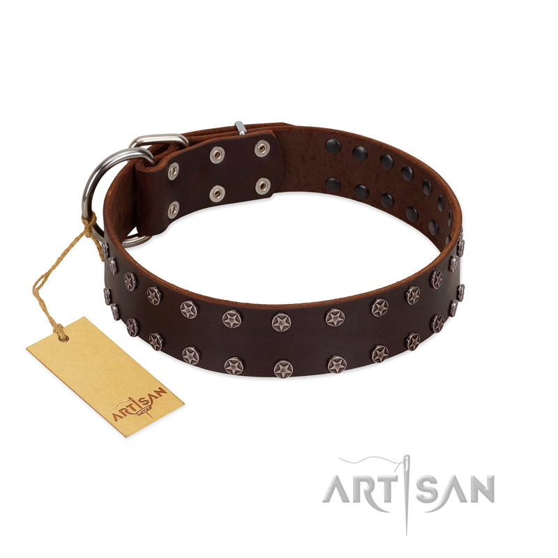 "Star Party" Handmade FDT Artisan Brown Leather Newfoundland Collar with Silver-Like Studs