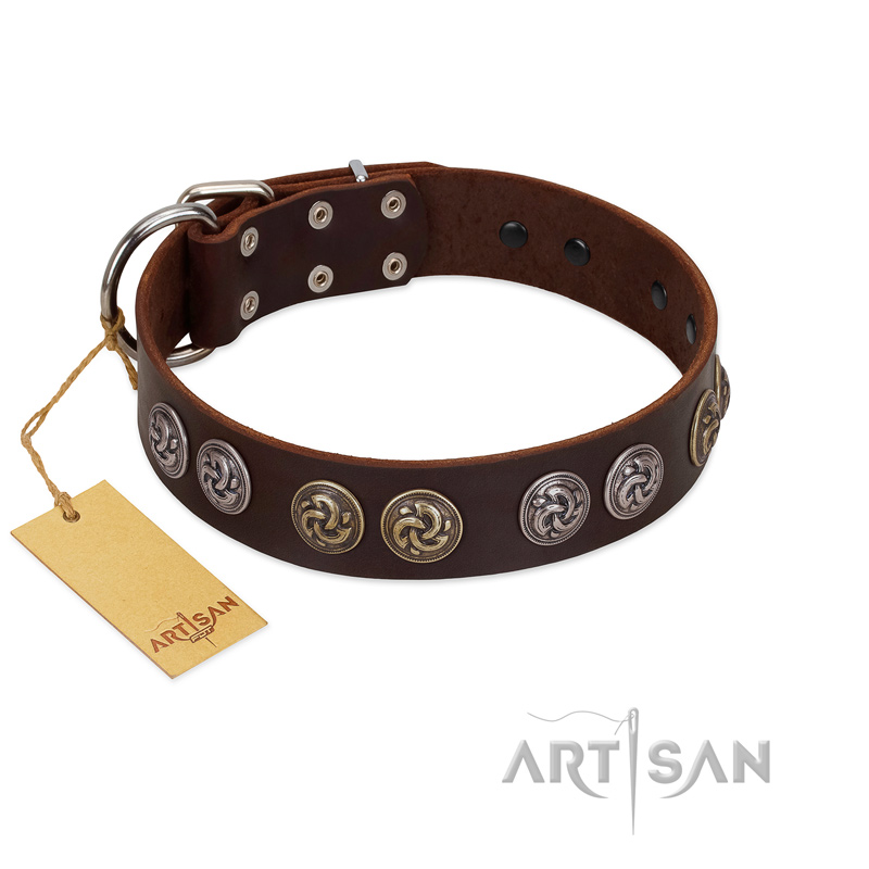 "Treasure Hunter" FDT Artisan Brown Leather Newfoundland Collar with Old-Bronze-like and Silvery Medallions