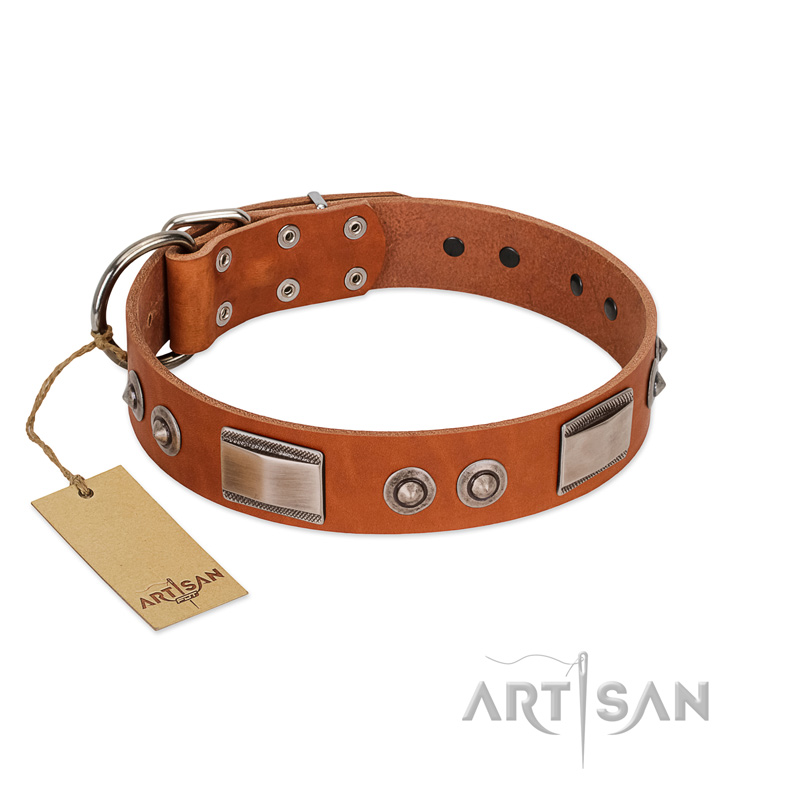 "Pawsy Glossy" FDT Artisan Exclusive Tan Leather Newfoundland Collar 1 1/2 inch (40 mm) wide - Click Image to Close