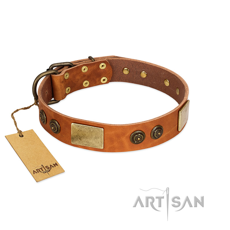 "Bronze Century" FDT Artisan Tan Leather Newfoundland Collar with Plates and Brooches with Cool Ornament