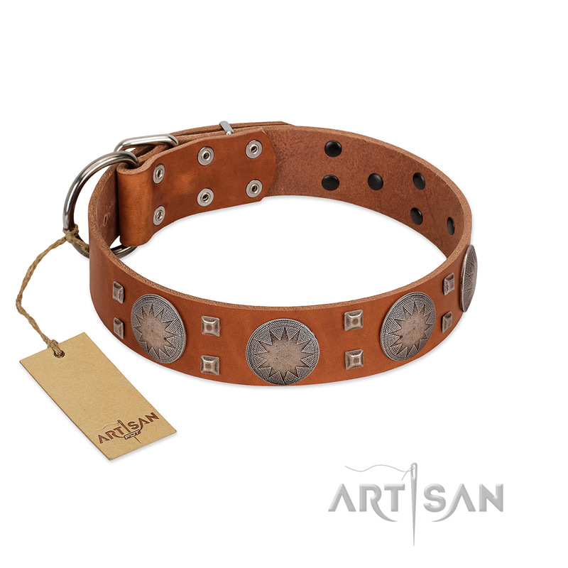 "Sun Rise Noon" FDT Artisan Tan Leather Newfoundland Collar with Unique Design - Click Image to Close