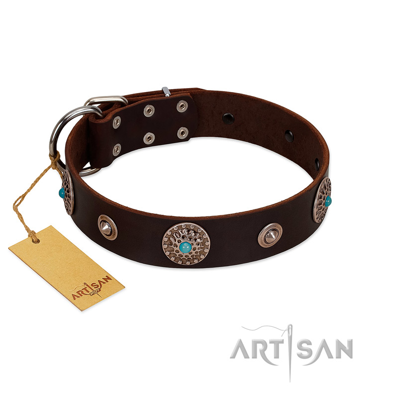 "Magic Stones" FDT Artisan Brown Leather Newfoundland Collar with Chrome Plated Brooches and Studs