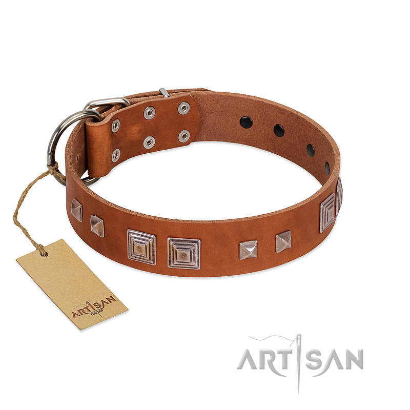 "Egyptian Gifts" Handmade FDT Artisan Tan Leather Newfoundland Collar with Chrome-plated Pyramids