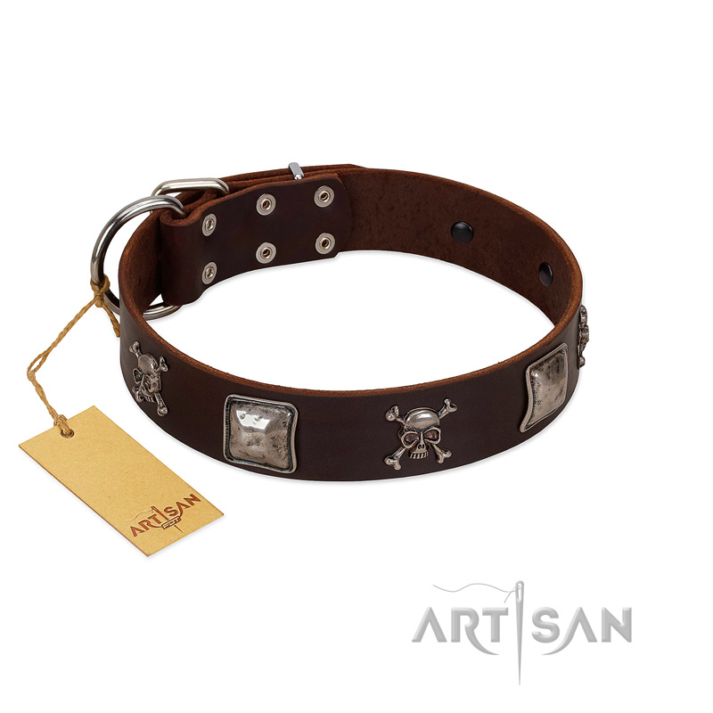 "Nut-Brown Finery" Embellished FDT Artisan Brown Leather Newfoundland Collar with Chrome Plated Crossbones and Plates