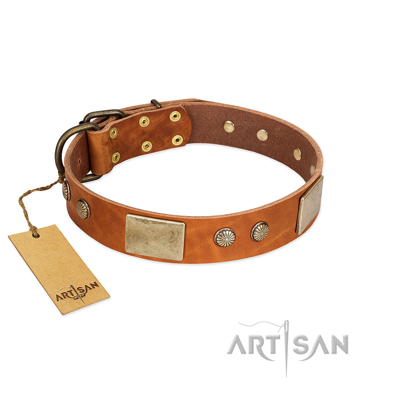 "Ancient Treasures" FDT Artisan Tan Leather Newfoundland Collar with Antiqued Plates and Studs