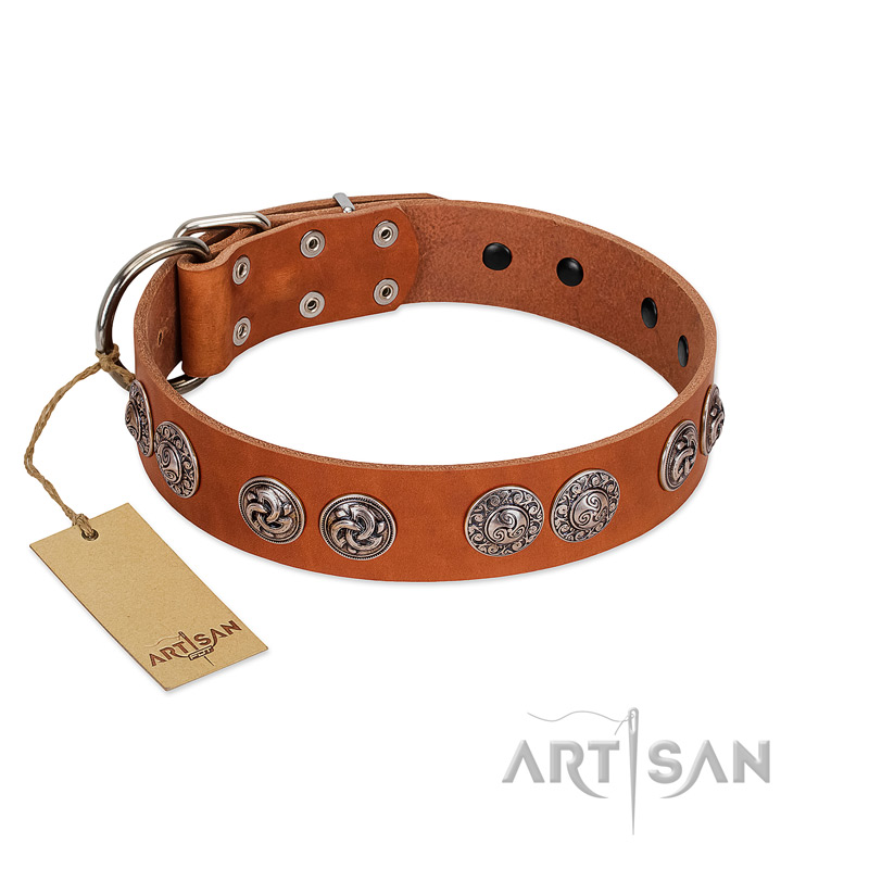 "Woofy Majesty" FDT Artisan Tan Leather Newfoundland Collar with Round Silver-like Plates