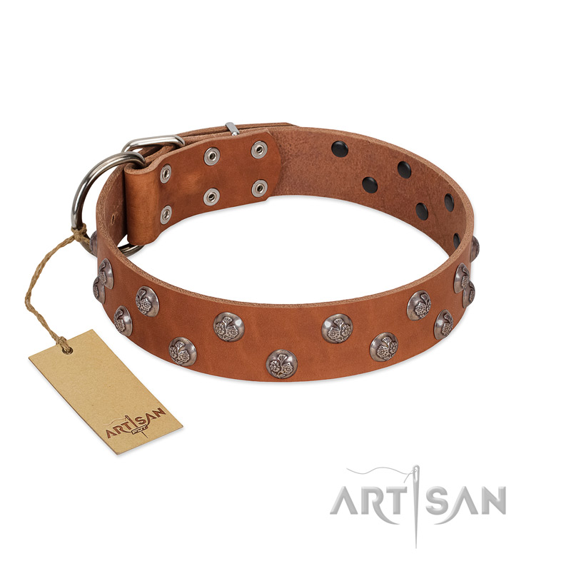"Waltz of the Flowers" Handmade FDT Artisan Tan Leather Newfoundland Collar with Chrome-plated Engraved Studs