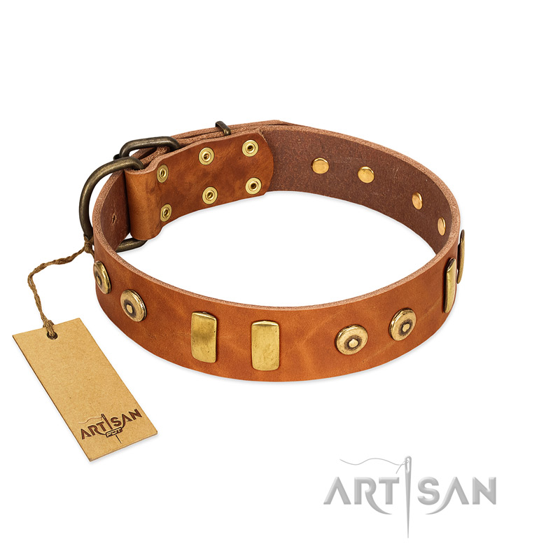 "Egyptian Script" FDT Artisan Tan Leather Newfoundland Collar with Plates and Small Studs