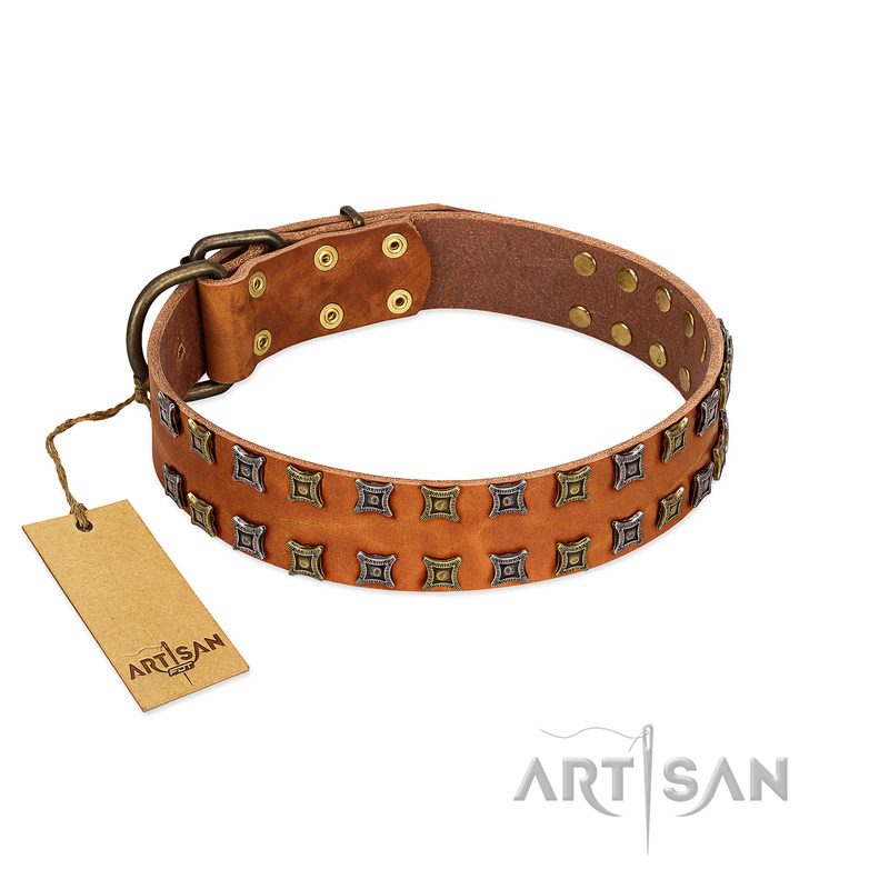 "Terra-cotta" FDT Artisan Tan Leather Newfoundland Collar with Two Rows of Studs