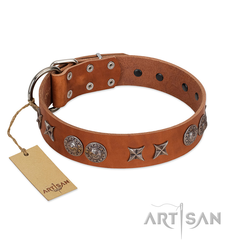 "Splendid Armor" Premium Quality FDT Artisan Tan Designer Newfoundland Collar with Shields and Stars