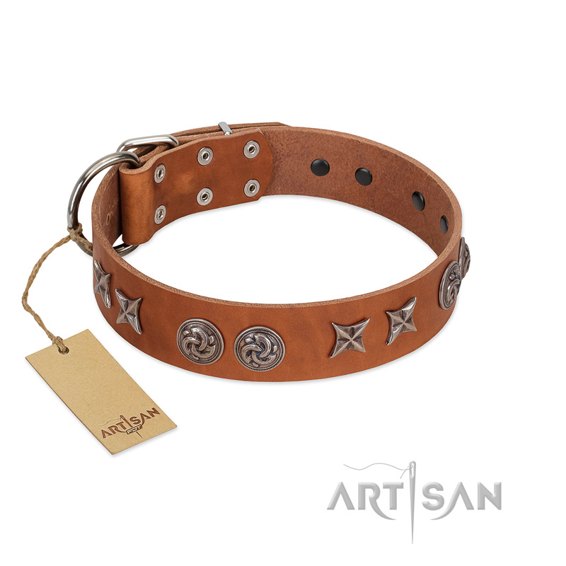 "Brave Spirit" Handmade FDT Artisan Designer Tan Leather Newfoundland Collar with Shields