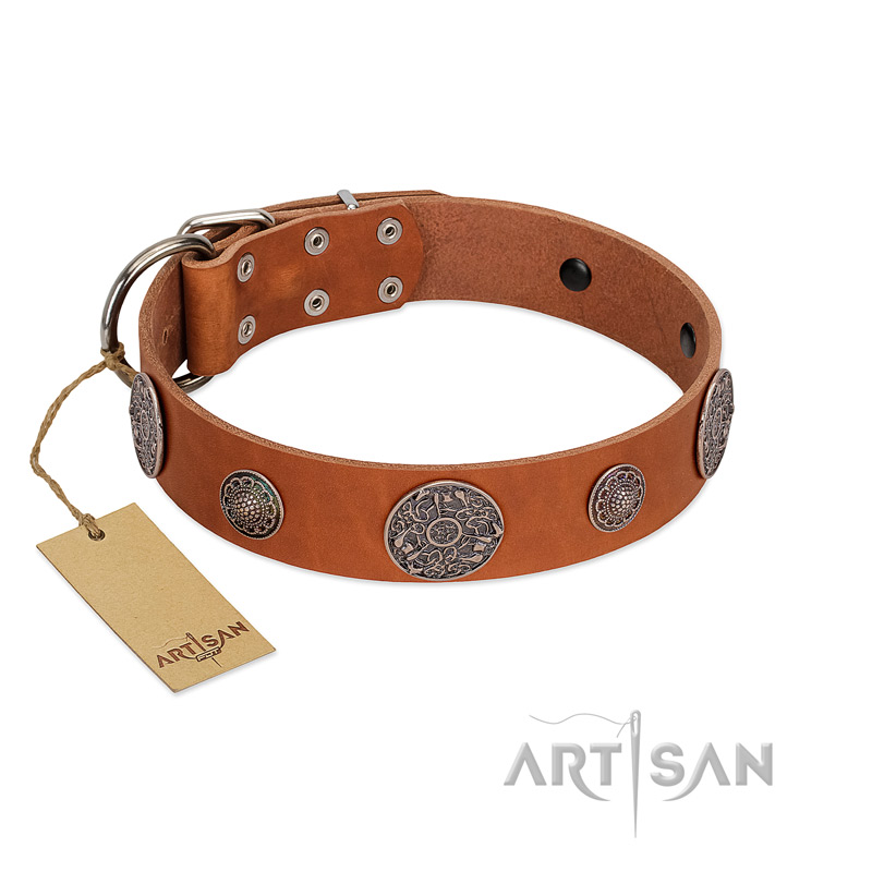 "Foxy Nature" FDT Artisan Tan Leather Newfoundland Collar with Chrome Plated Brooches