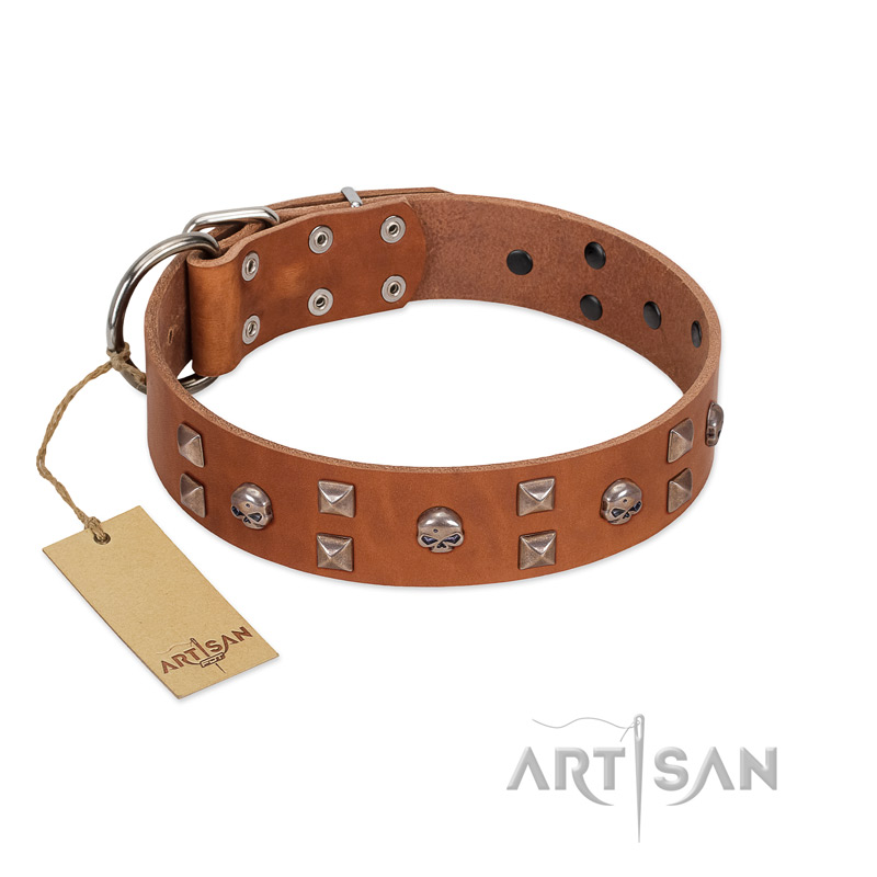 "Enchanted Skulls" FDT Artisan Tan Leather Newfoundland Collar with Chrome Plated Skulls
