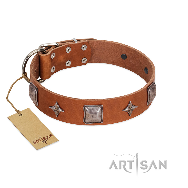 "Lucky Star" FDT Artisan Tan Leather Newfoundland Collar with Silver-Like Embellishments