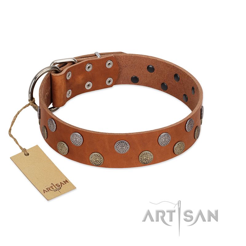 "Ancient Symbol" Trendy FDT Artisan Tan Leather Newfoundland Collar with Silver- and Gold-Like Studs