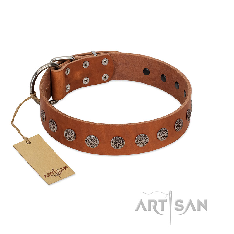 "Lucky Star" Handmade FDT Artisan Designer Tan Leather Newfoundland Collar with Round Plates - Click Image to Close