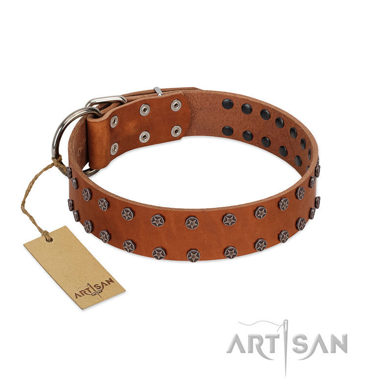 "Star Light" Stylish FDT Artisan Tan Leather Newfoundland Collar with Silver-Like Studs