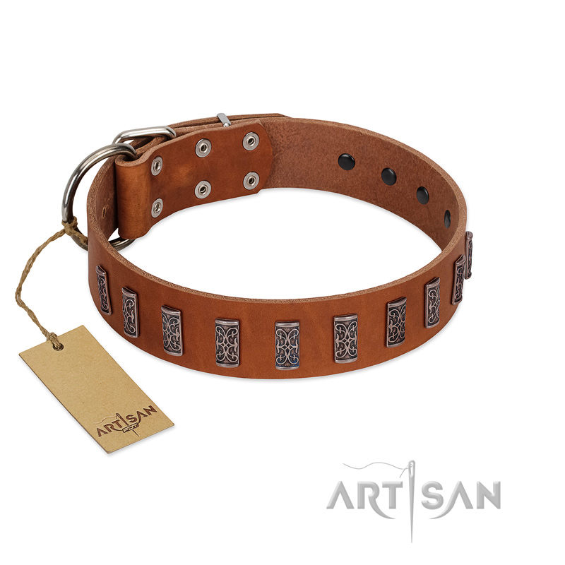 "Silver Century" Fashionable FDT Artisan Tan Leather Newfoundland Collar with Silver-Like Plates