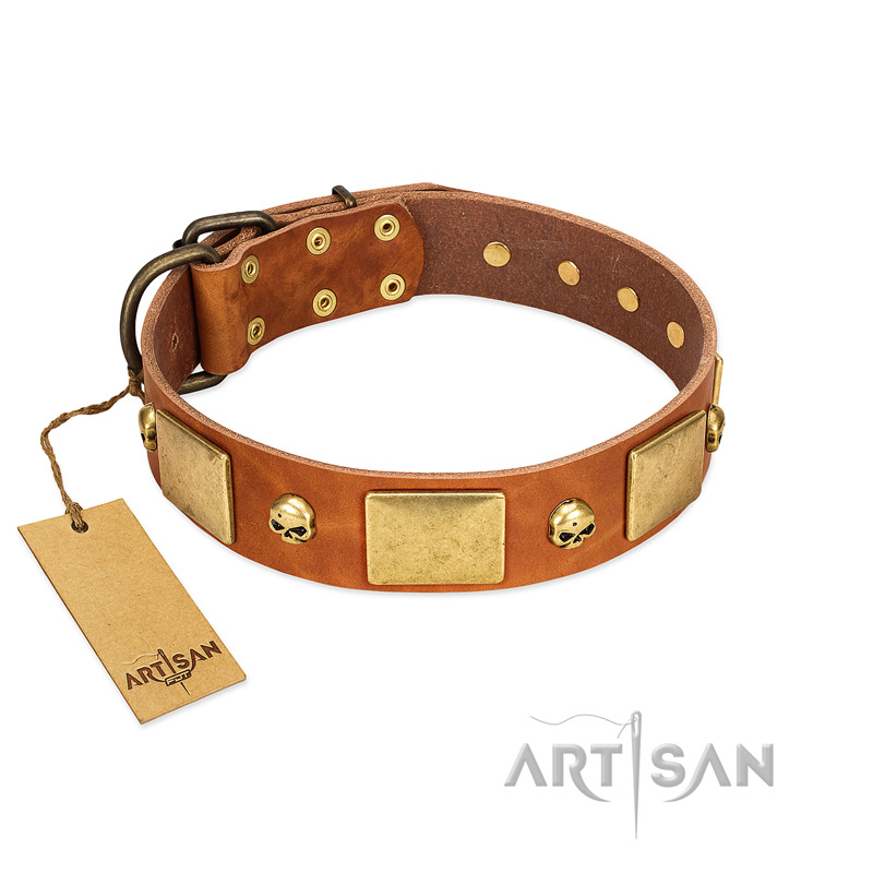"Mutt The Daredevil" FDT Artisan Tan Leather Newfoundland Collar with Old Bronze-like Skulls and Plates