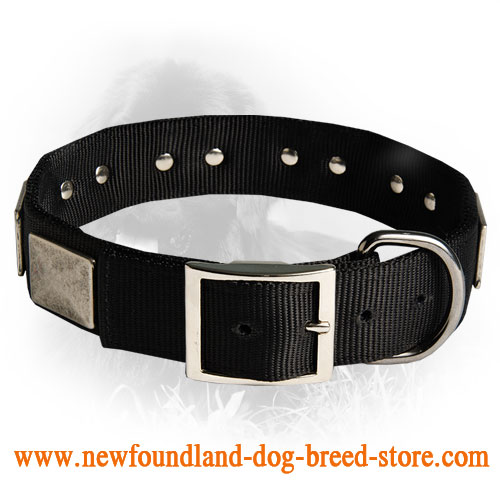 Newfoundland Dog Nylon Collar Nickel Buckle