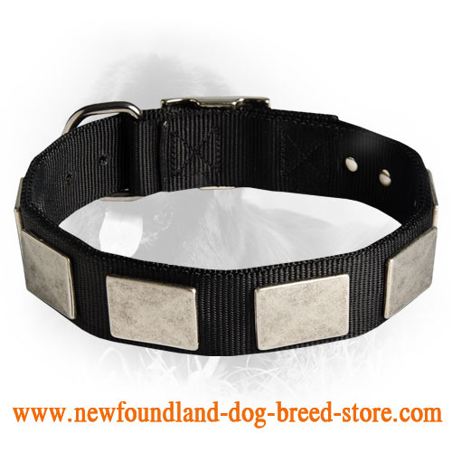 Newfoundland Dog Nylon Collar Massive Plates