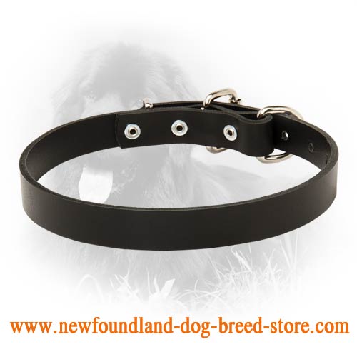 Handy Newfoundland Leather Dog Collar For Everyday Use