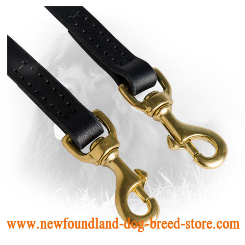 Solid Snap Hooks on Newfoundland Leather Coupler