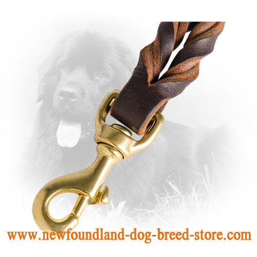 Braids on Leather Newfoundland Leash