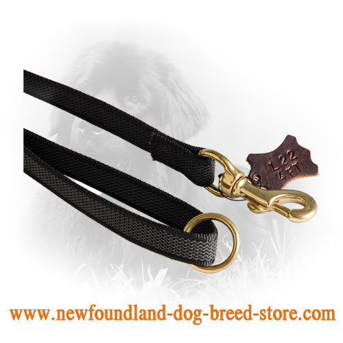 Brass Snap Hook on Newfoundland Leash