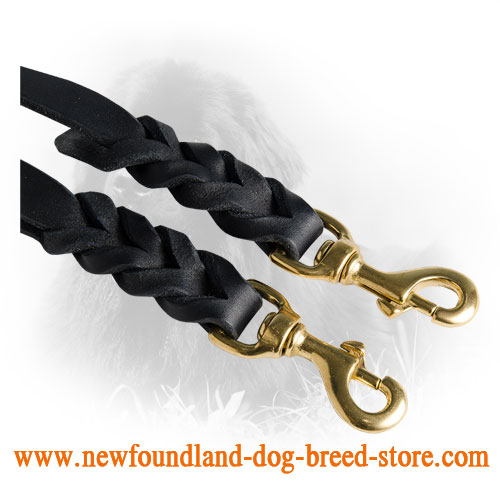 Brass Snap Hooks on Newfoundland Leather Coupler