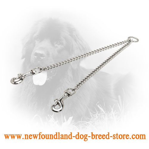 Chrome Plated Newfoundland Coupler for Walking 2 Dogs