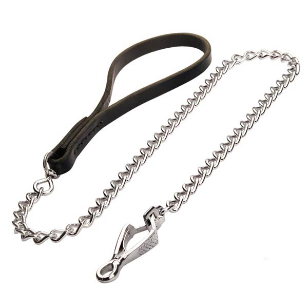 Newfoundland Leash for Many Activities