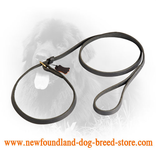 Practicable Leather Newfoundland Leash and Choke Collar Combo