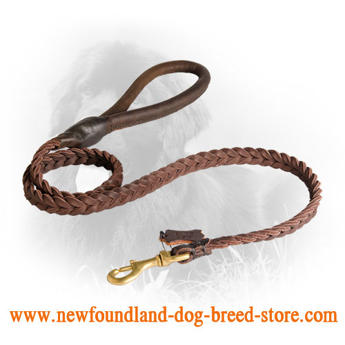 Leather Newfoundland Leash with Fancy Braids