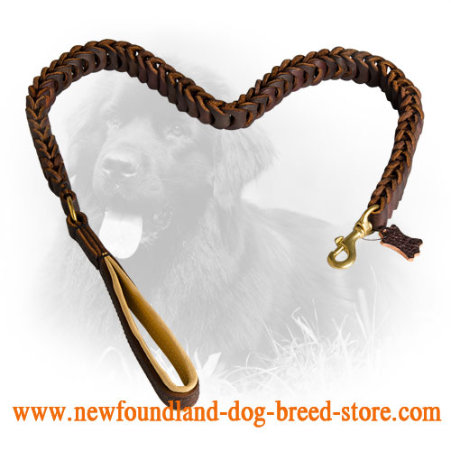 Leather Newfoundland Leash with Fancy Braids