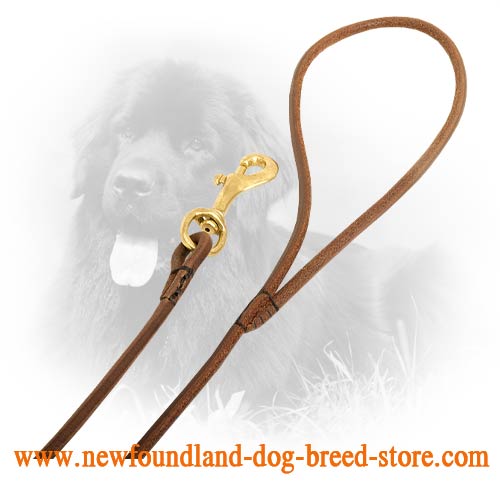 Snap Hook on Newfoundland Leash 