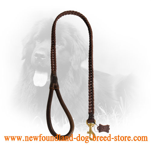 Newfoundland Leash with Soft Leather Handle