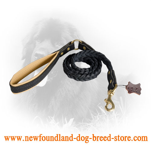 Leather Newfoundland Leash with Fancy Braids