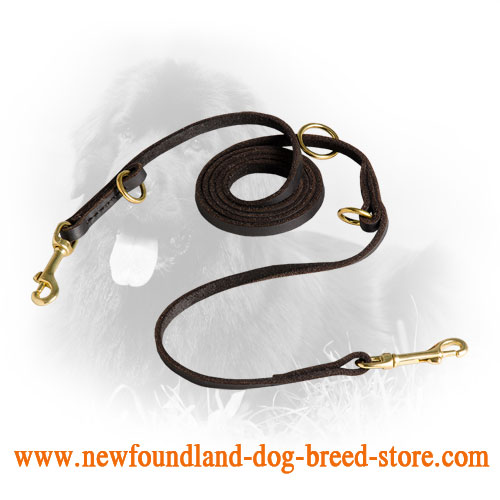 Newfoundland Leash for Many Activities