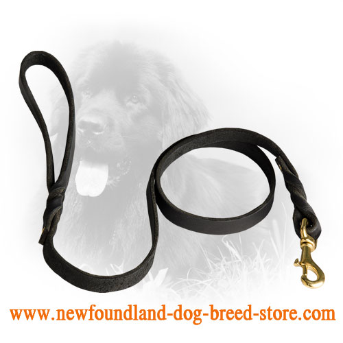 Newfoundland Leash for Many Activities