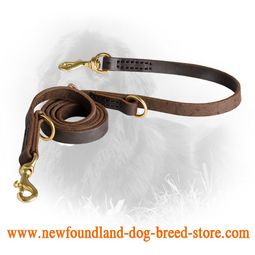 Newfoundland Leash with Regulated Length