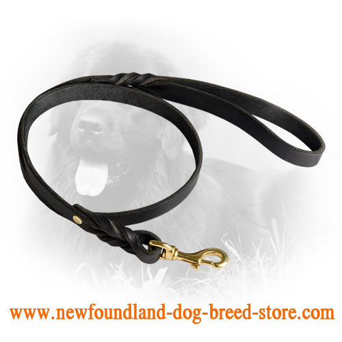 Durable Newfoundland Leash with Braids 