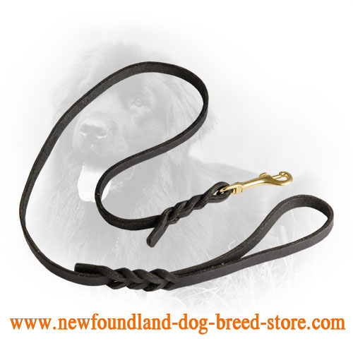 Leather Newfoundland Leash with Fancy Braids