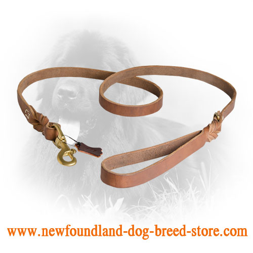 Elegant Design Newfoundland Leash