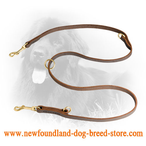 Durable Newfoundland Leash 