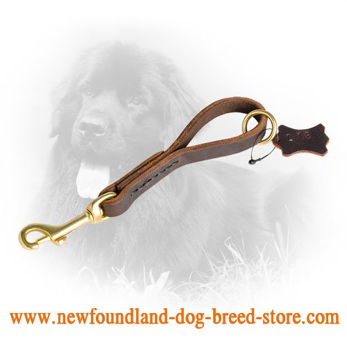 Fast Grab Newfoundland Leash