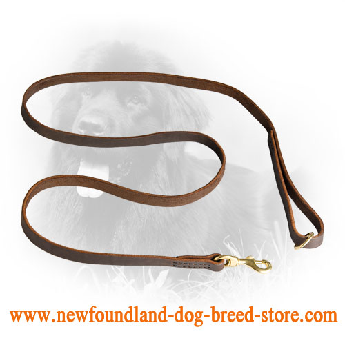 Handmade Leather Newfoundland Leash with Floating O-Ring